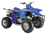 ATV 250 (MT250A-1)