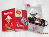 Motorcycle Spare Parts - Conventional Battery (6N4B-2A)