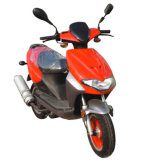 Scooter Bike (BD50QT-11)