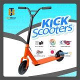 off-Road PRO Stunt Kick Scooter with Gasing Wheel
