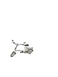 Electric Scooter (ES017)