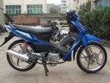 Motorcycle (WL110-A(V))