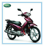 110cc/100cc/70cc/50cc Motorcycle, Motocicleta, Motorbike, Moped (Tigerkin) -New Motorcycle