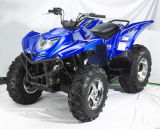 Water Cooled 4 Stroke ATV with EEC (QY500ATV)