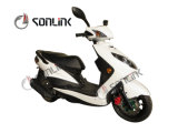 125cc High Speed Street Alloy Wheel Scooter (SL100T-LZ)