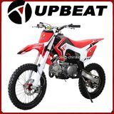 High Quality 125cc Racing Pit Bike 125cc Mini Motorcycle