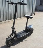 Electric Scooter (ES5010)