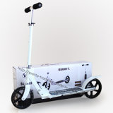 Adult Scooter with CE Certification (YVS-002)