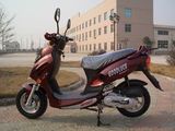 Scooter(ED49QT-1)