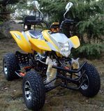 New 250cc ATV with EEC, 2 Person (250ATV-J)