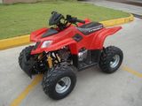 50CC to 110CC ATV (KWS7-Q110)