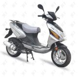 Gas Scooter (JET125TF)