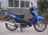 Motorcycle (SP110-8Y) 