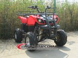 China Made 110cc ATV (AT1104)