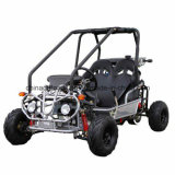 CE Approved 110cc Go Cart (DMB110-03)