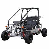 CE Approved 110cc Go Cart (DMB110-03)