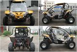 Renli 250cc Go Kart Buggy