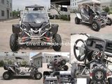 Buggy EEC (RLG2-250DZ)