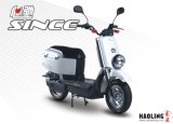 Fashionable Electric Scooter (HLES16-260)