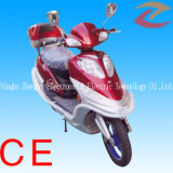 Electric Bike (ZYEB-06)