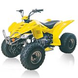 ATV(SN-ATV110cc)