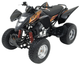 ATV / Quad Bike with EEC / EPA / DOT (JX250ST-3)