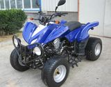 EEC / COC Approved 300cc ATV (FA300E)