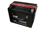 Dry Charged Maintenance Free Motorcycle Batteries Motorcycle Battery Ytx20L-Bs