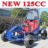 Kids Gas Powered Go Carts 125cc