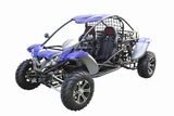 High Quality 1100CC 4x4 Buggy (RL-1100)