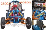 250cc Chain Drive Go Kart (YG-250GKA)