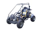 150cc Go Kart (G-150)