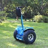 Two Wheel Smart Electric Chariot Self Balance Electric Scooter