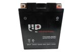 Motorcycle Battery Seale Maintenance Free Ytx14ahl-Bs 12V 12ah