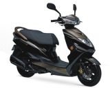 Sanyou 50cc-125cc Gasoline Scooter (SY125T-31)