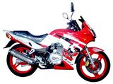 Motorcycle JL150-2