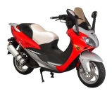 Motorcycle (ZW150T-5A) - 2