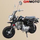 50CC/110CC Mini Motorcycle for Field with CE (QW-DB-09)