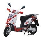 Electric Scooter (YRDM01Z)