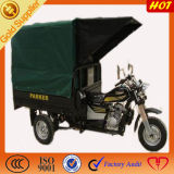Simple & Popular for Three Wheeled Motorcycle