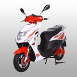 Popular Electric Scooter with 2000W Motor