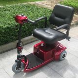 CE Approval 3 Wheels Electric Scooter for Handicapped (DL24250-1)