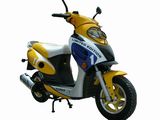 EC Gas Scooter (WJ50QT-8)