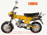 EEC Dirt Bike (Bon-Dax125)