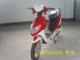 Electric Bikes (OIC-B08)