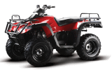 300cc 4X4wd ATV with EPA/EEC