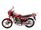 Motorcycle (CTM125)