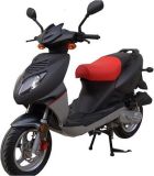 50cc, 125cc, 150cc Scooter (TT-M50-A2)