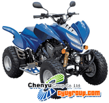 ATV (CY300ST-300CC)