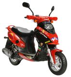 EEC Scooter (LB50QT-2)